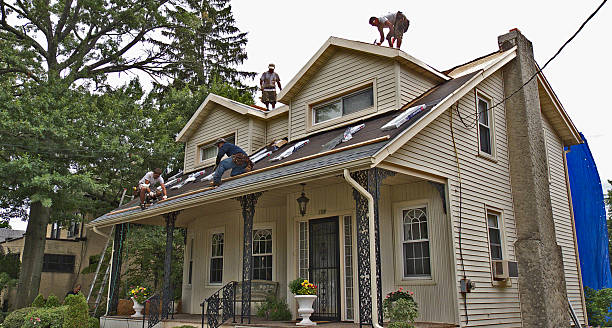 Best Residential Roofing Contractor  in St Charles, MN