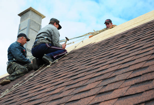 Best Commercial Roofing Services  in St Charles, MN